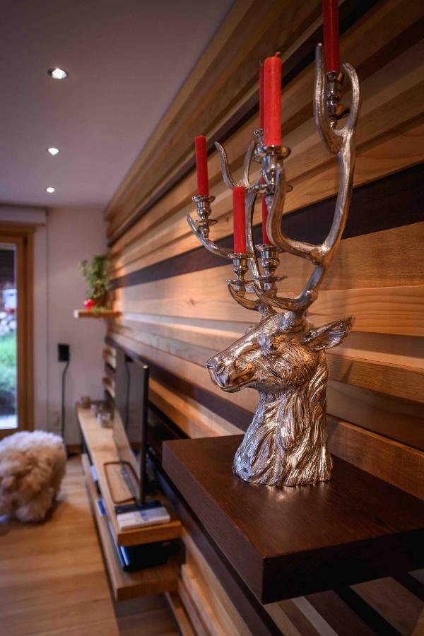 Bisi Apartment Grindelwald Ngoại thất bức ảnh